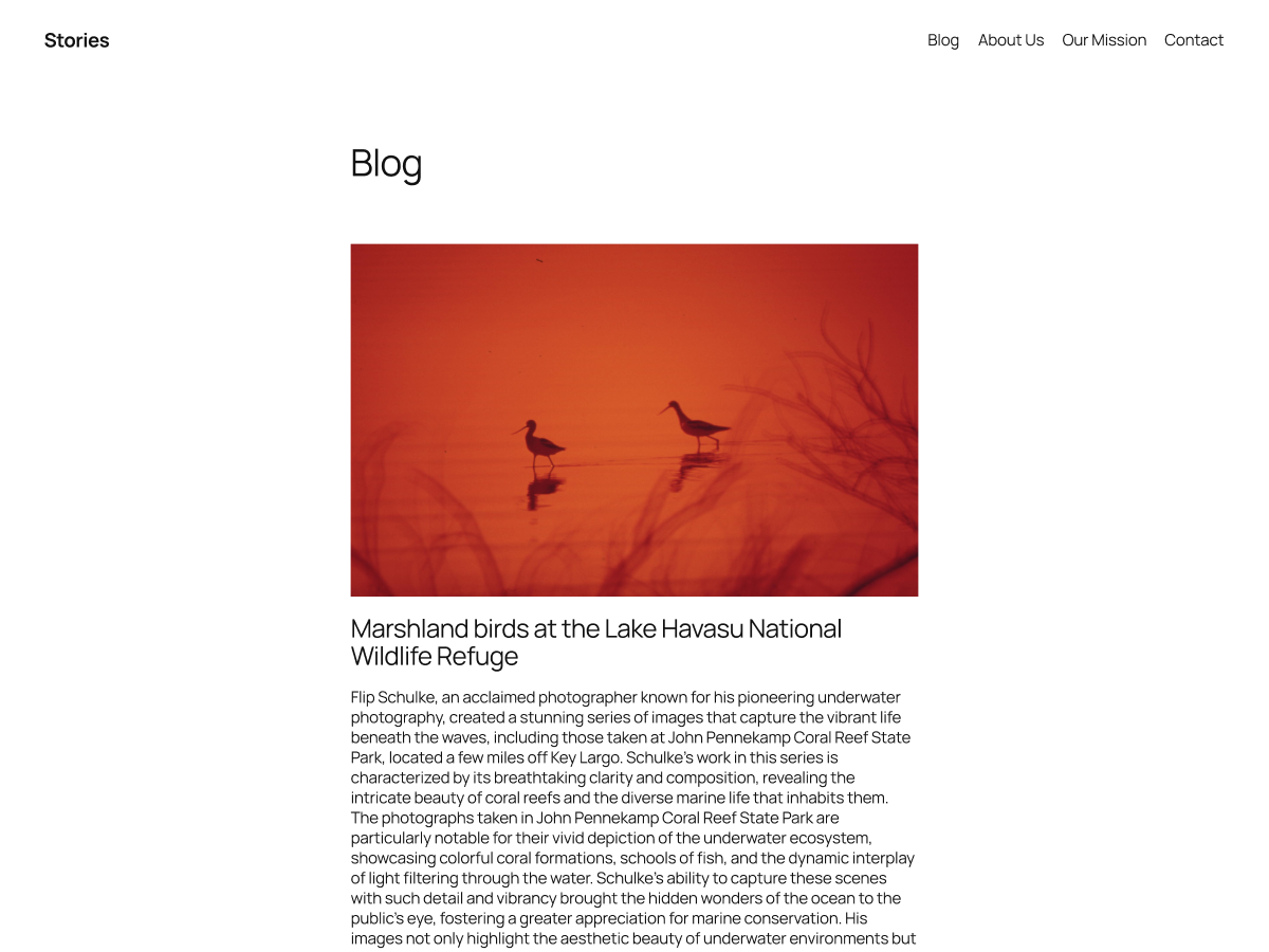 twentytwentyfive screenshot